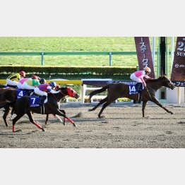 16年フェブラリーSの勝ち馬