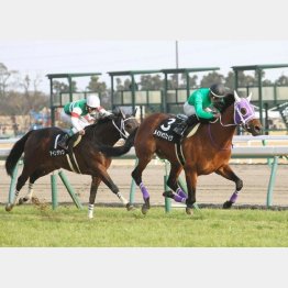 逃げ切った恋路ケ浜特別