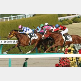 2走前は完勝だったメンターモード