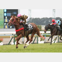 渡月橋Sで4連勝