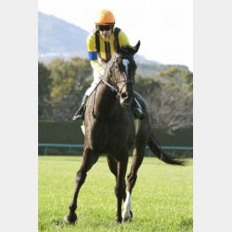 単勝1・5倍にこたえた昨年の勝ち馬ソウルスターリング