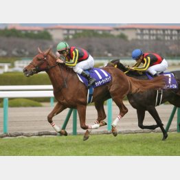 阪神JFを差し切り
