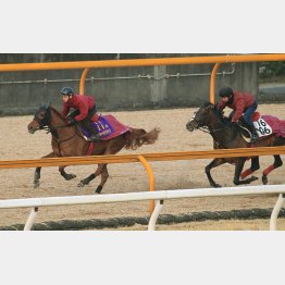 相手を全く問題にしなかった