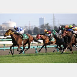 ワンカラットが勝った12年は記録的な波乱に
