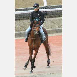 中間は落ち着きもある