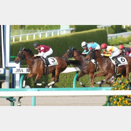 2走前完勝はこの阪神7Fダート