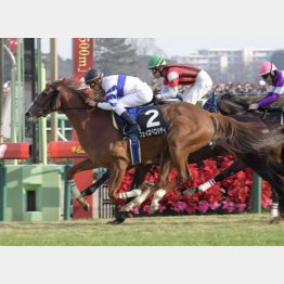 2走前は同条件で首差②着