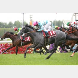 京都新聞杯以来の勝利を目指す