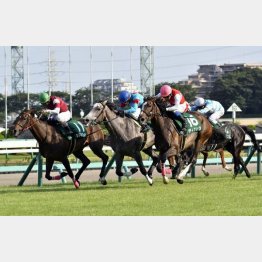 重賞でも接戦を演じた