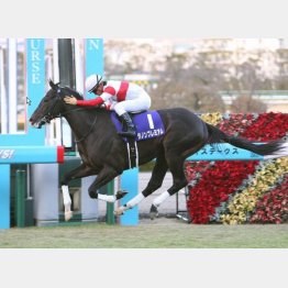 朝日杯FSを完勝