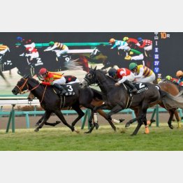 東雲賞で首差②着のショウナンアンセム