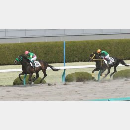 2勝目は3馬身半の圧勝