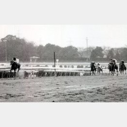 89年の弥生賞は、勝ったレインボーアンバー(左)が不良馬場を2番手から抜け出し②着に大差をつけた