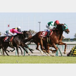 昨年はヤマカツエースが連覇を達成