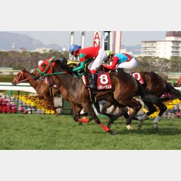 08年はキャリア豊富な3頭が上位を占めた