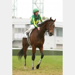 阪神でディープ産駒の切れが生きる