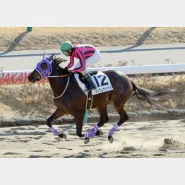 同舞台で未勝利V