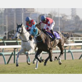 中山大障害は王者オジュウチョウサンと僅差の②着(内)