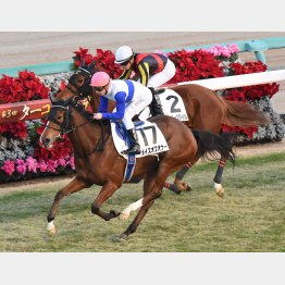 2走前は外、外を回って差し切り