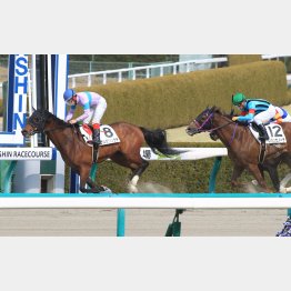 前走は②着に1馬身半差