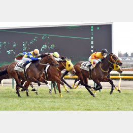 初芝で完勝