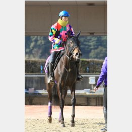 アンコールプリュは中間も順調