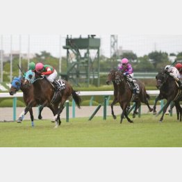 昨年10月にOP特別ポートアイランドSをⅤ