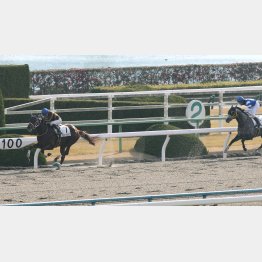 3連勝で一千万勝ち