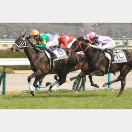 強い内容で未勝利勝ち