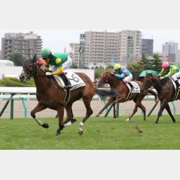 札幌の新馬戦以来のVがある