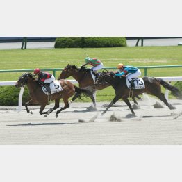 昨春はアンジュデジールと僅差の競馬も(真ん中)