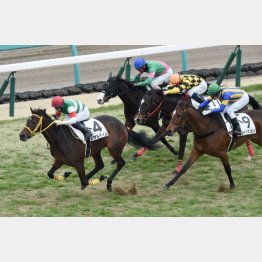 昇級初戦で連対