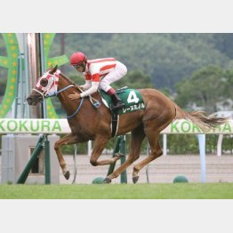 小倉2歳Sでスプリンターの資質を示した