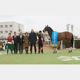 ○ファインニードルは前哨戦のシルクロードS勝ち