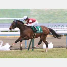 前走は余裕残しで楽勝