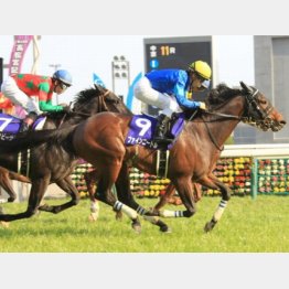高松宮記念はファインニードルがV