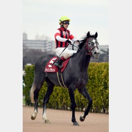 中山記念で重賞3勝目