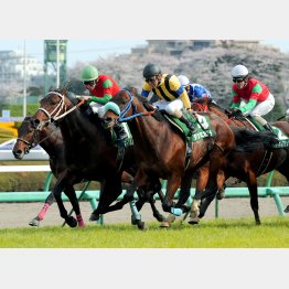 09年は1番人気が勝ったが、3連単は18万円