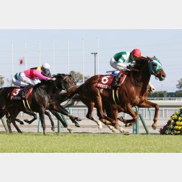 昨年は芝二千の金鯱賞を変則連覇