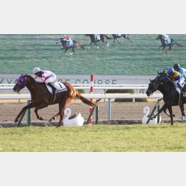 2走前は圧勝