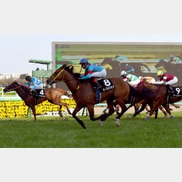 中山マイルの春興Sで準オープン勝ち