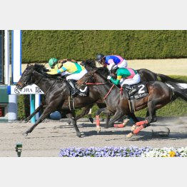 なにわSで3連勝