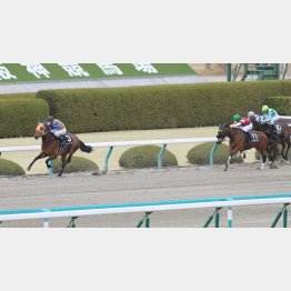 圧勝だった播磨S