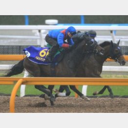 今週のケイコではラスト1F11秒5と軽快な動き