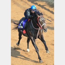中1週でも坂路50秒8の好タイム