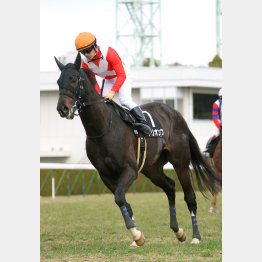 天井知らずの上昇ぶり