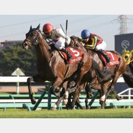 セントライト記念を上がり最速勝ち