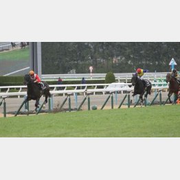 寿Sは4馬身差で圧勝