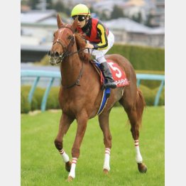 チューリップ賞も楽勝したラッキーライラック