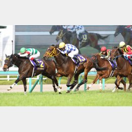 16年はシンハライトがいったん前に出たが…